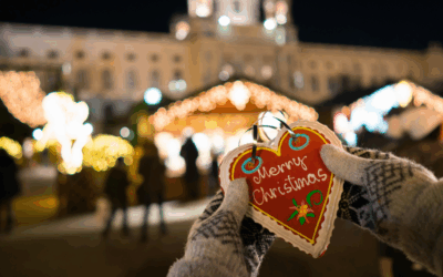 Danube Christmas Market Cruise